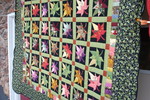 Amish Quilt Store